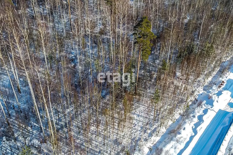 земля р-н Всеволожский посёлок Дунай фото 5