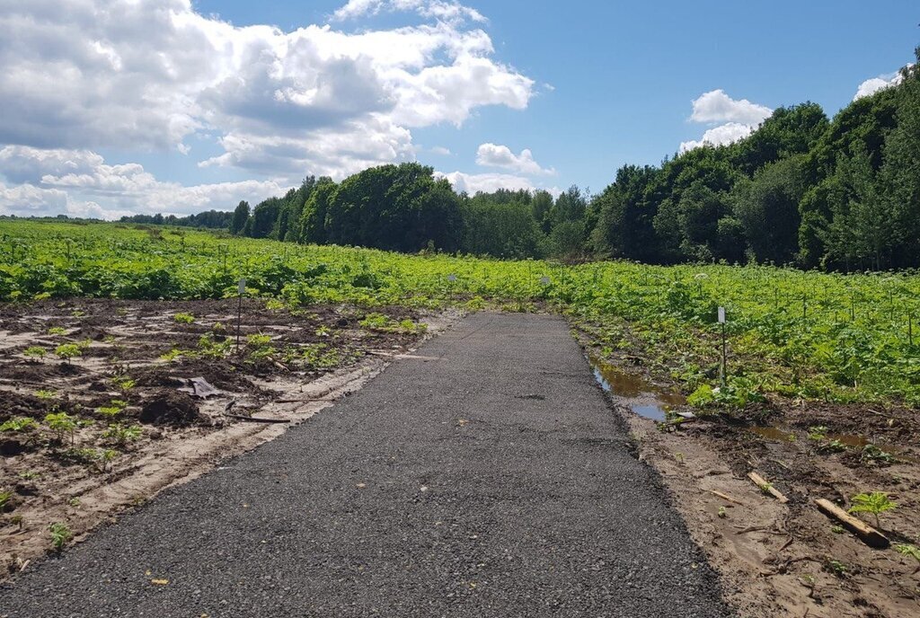 земля городской округ Дмитровский д Головино фото 21