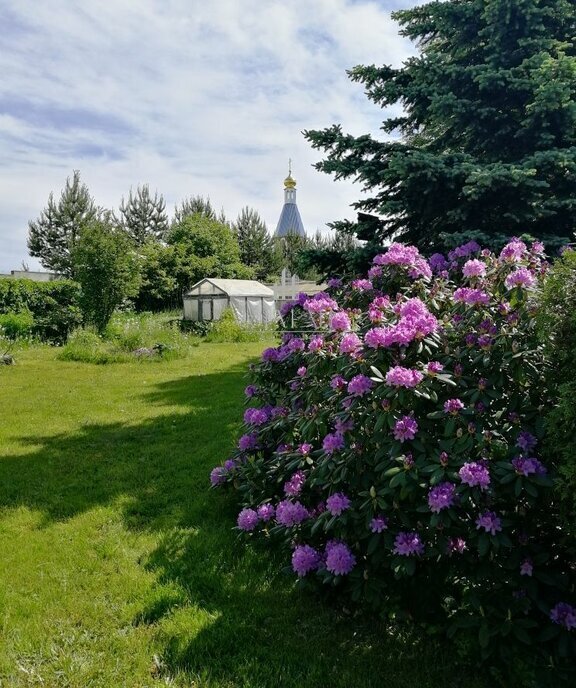 земля р-н Всеволожский снт Токсовское ул Тихая Токсовское городское поселение, Девяткино фото 1