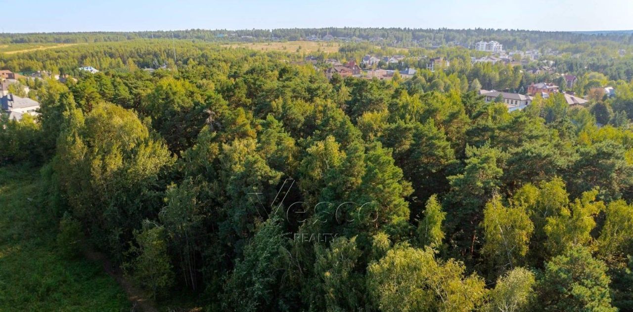 земля городской округ Одинцовский д Молоденово Кокошкино фото 12