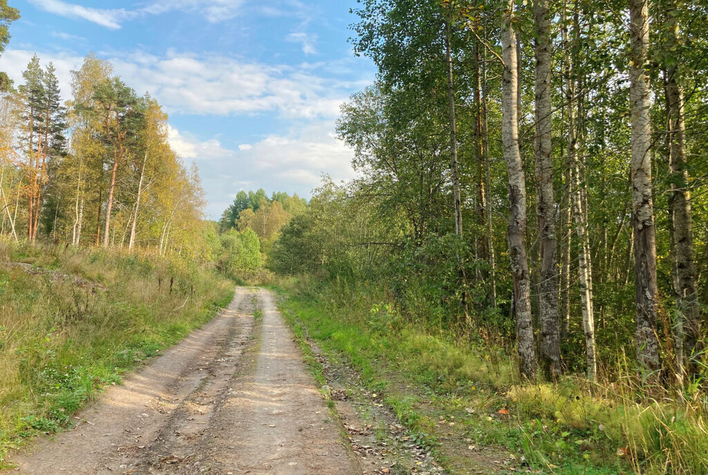 земля р-н Выборгский п Свободное Каменногорское городское поселение фото 9