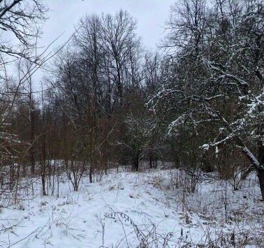 п Лосево Краснознаменский муниципальный округ фото