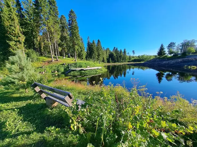 г Сясьстрой СНТ Авровской Картонной фабрики территория, 11 фото