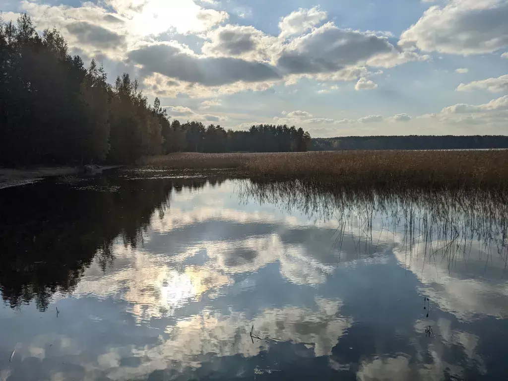 дом р-н Кировский г Отрадное Краснопольская улица, 23 фото 16