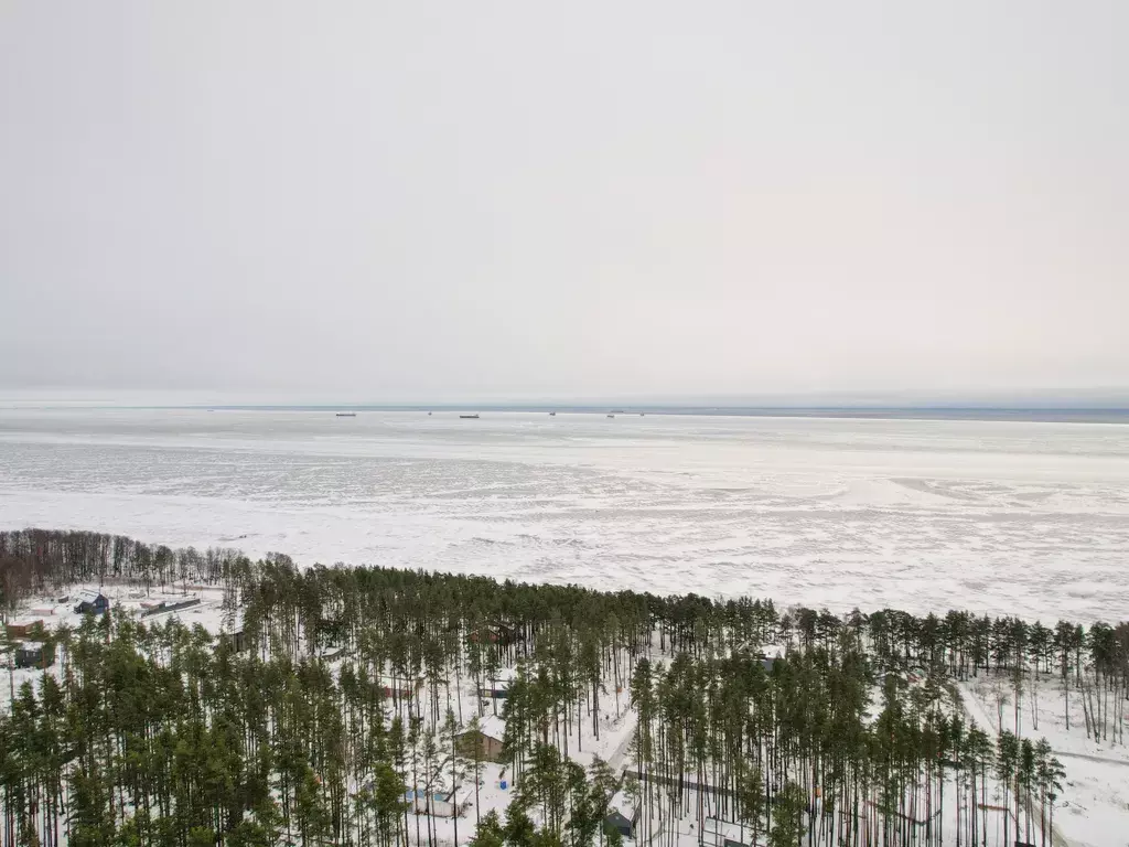 дом Зеленогорск, Радужная улица, 244/2 фото 31