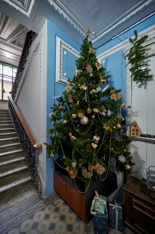 квартира г Санкт-Петербург метро Площадь Александра Невского 2 ул Тележная 9 Ленинградская область фото 41