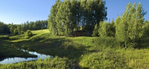 земля р-н Ясногорский г Ясногорск Каширское шоссе, 99 км, Иваньковское, ДНП Алино, муниципальное образование фото 1