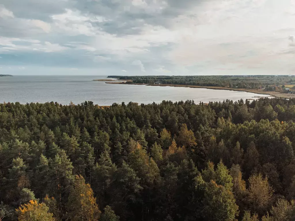 дом р-н Выборгский п Ермилово ул Физкультурная 4 фото 38