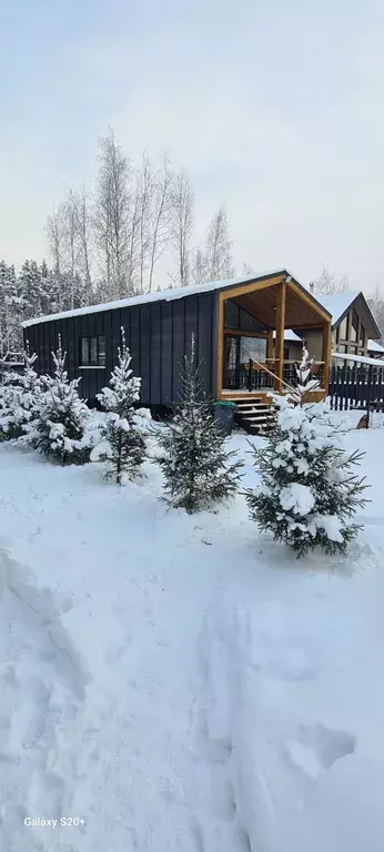 дом р-н Выборгский п Мамонтовка ДНП Приморское территория, 1, Приморск фото 12