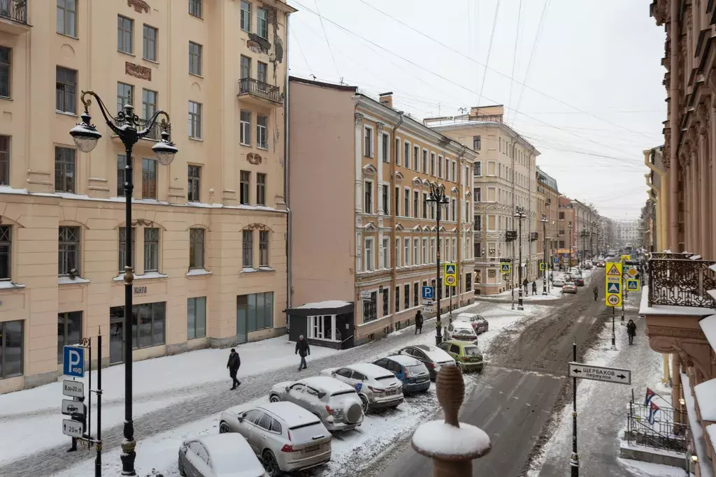 квартира г Санкт-Петербург метро Достоевская ул Рубинштейна 36 Ленинградская область фото 26