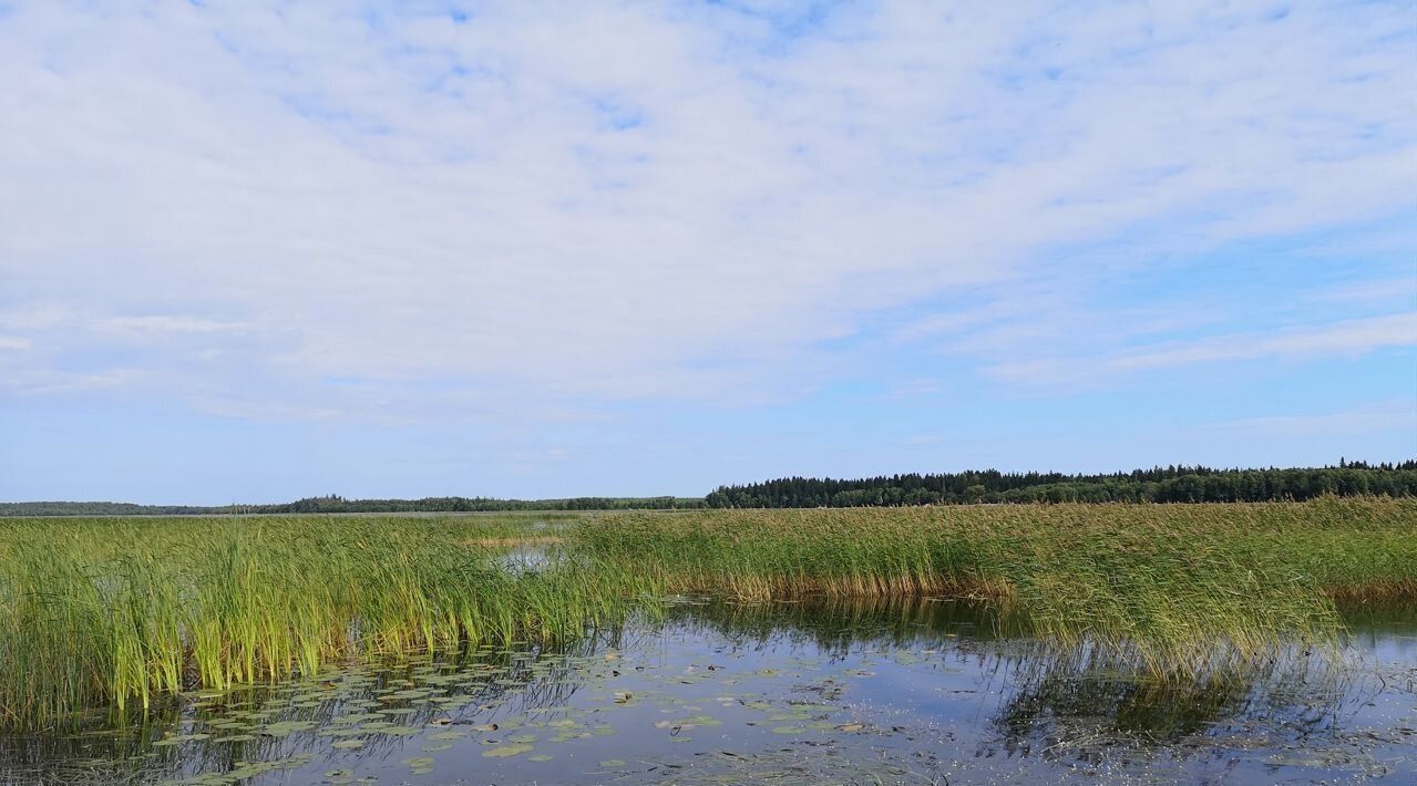 земля р-н Выборгский п Медянка Советское городское поселение фото 3