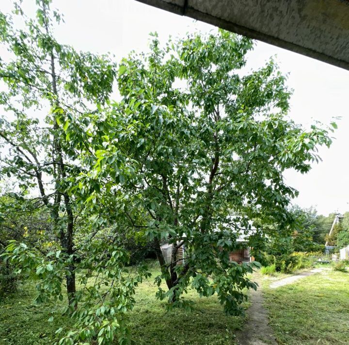 земля городской округ Щёлково д Шевелкино ул Слободка Кучино фото 14