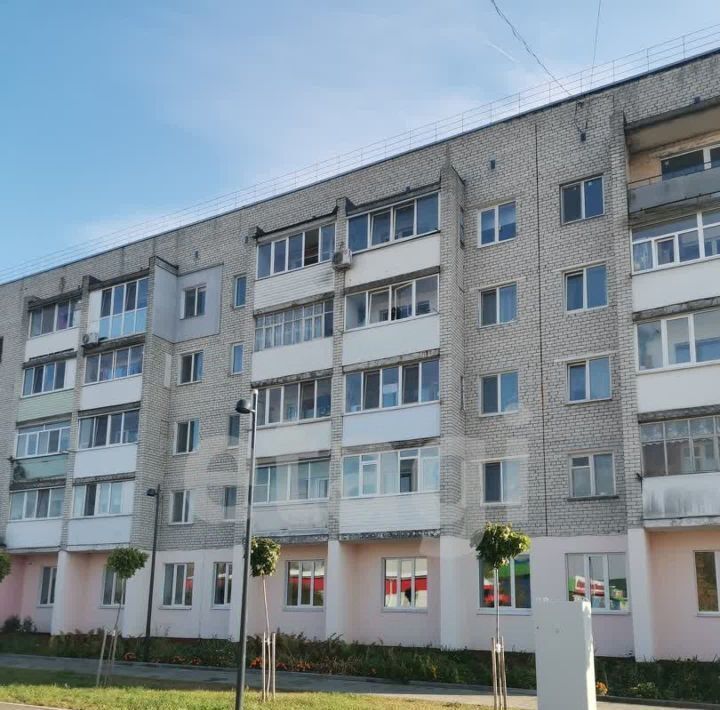 квартира р-н Жуковский г Жуковка ул Почтовая 10 фото 19