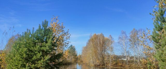 снт Реестр сельсовет, ДНТ, Кудряшовский фото