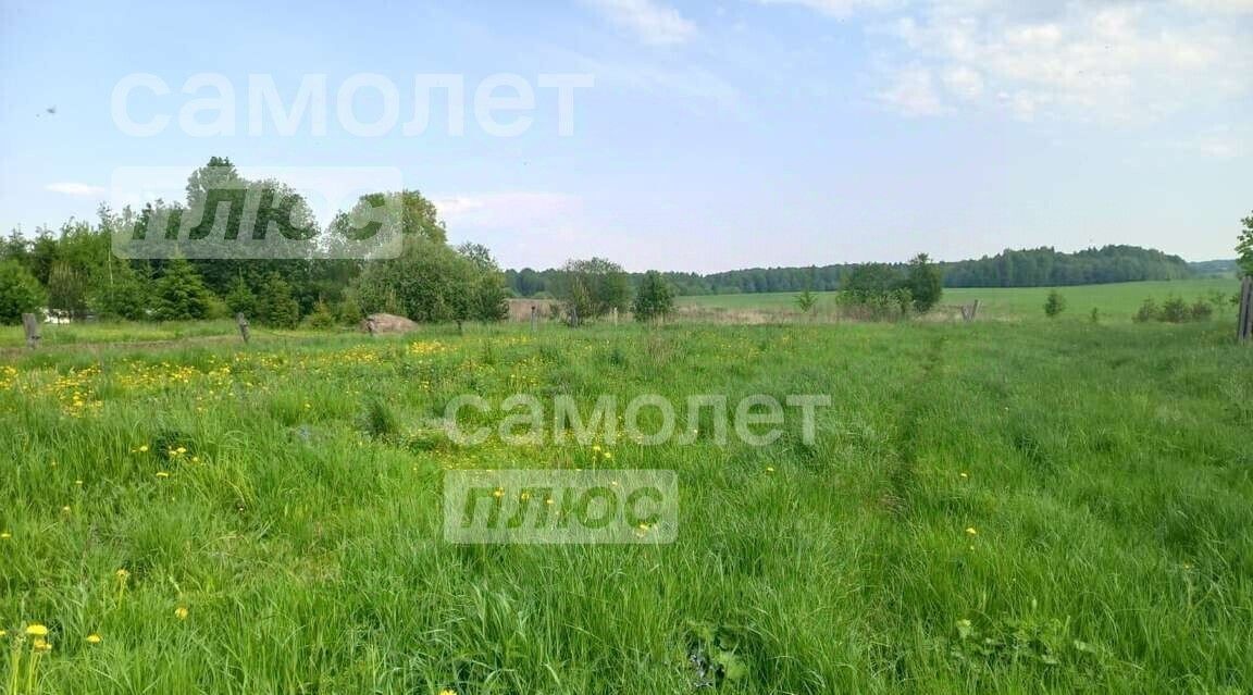 земля р-н Вологодский д Елгино фото 4