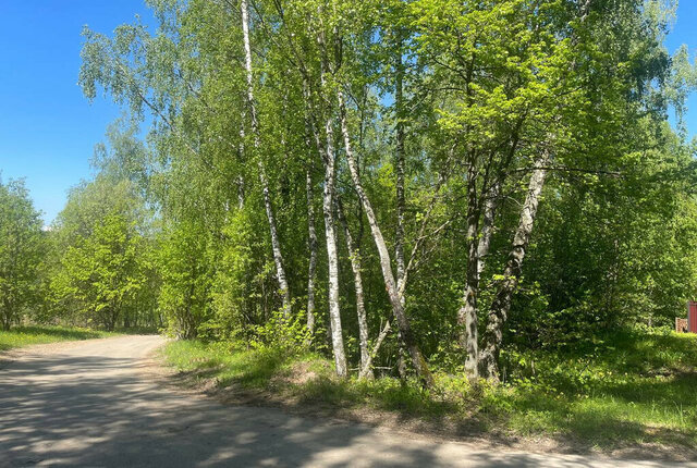 д Бородино Подольск фото