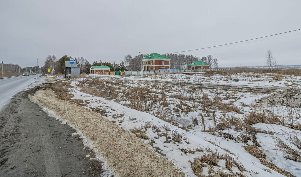 земля р-н Тюменский д Решетникова ул Сосновая фото 14