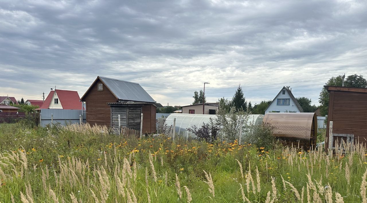 земля 156, Раменский городской округ, Содружество СНТ фото 6