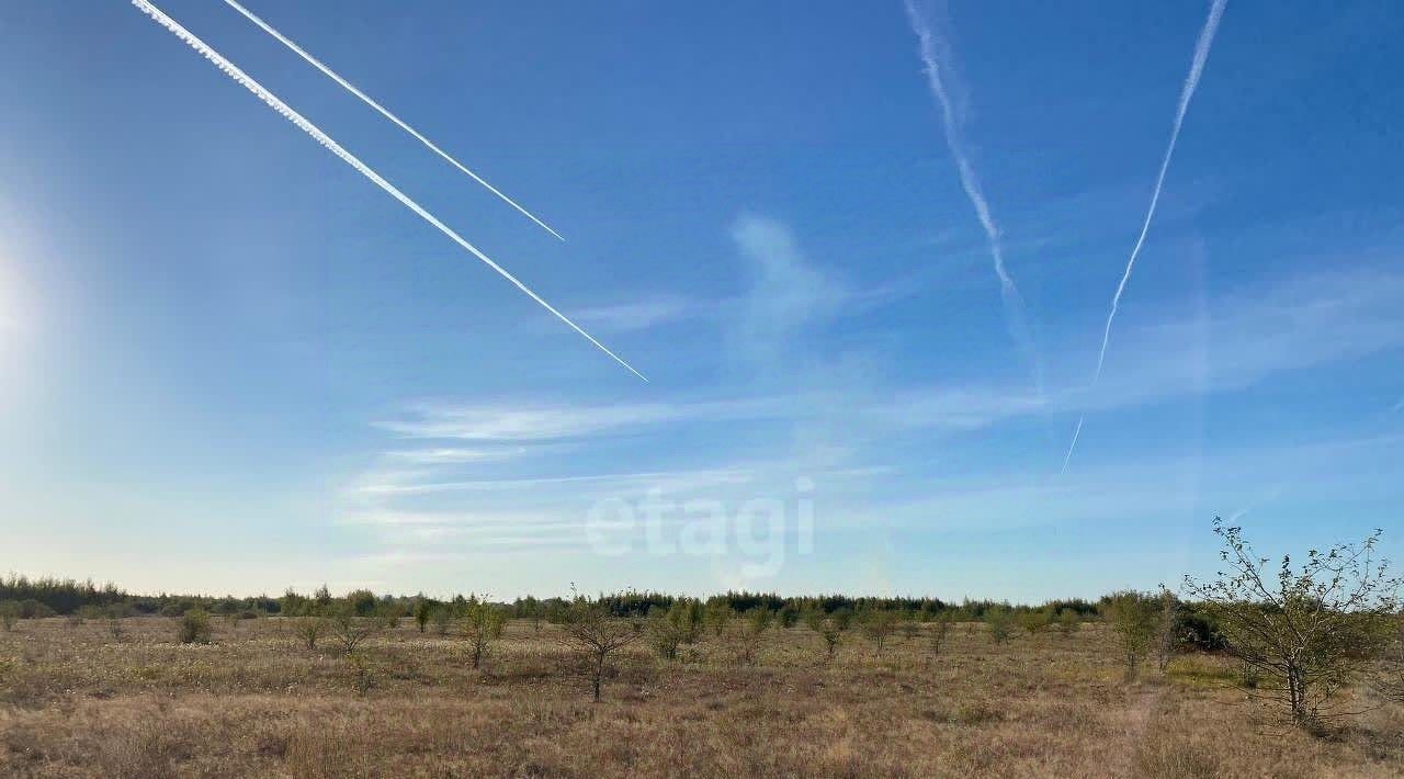 земля р-н Тамбовский п Тихий Угол фото 3