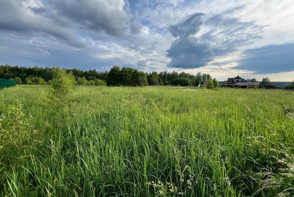 земля городской округ Можайский д Головино фото 26