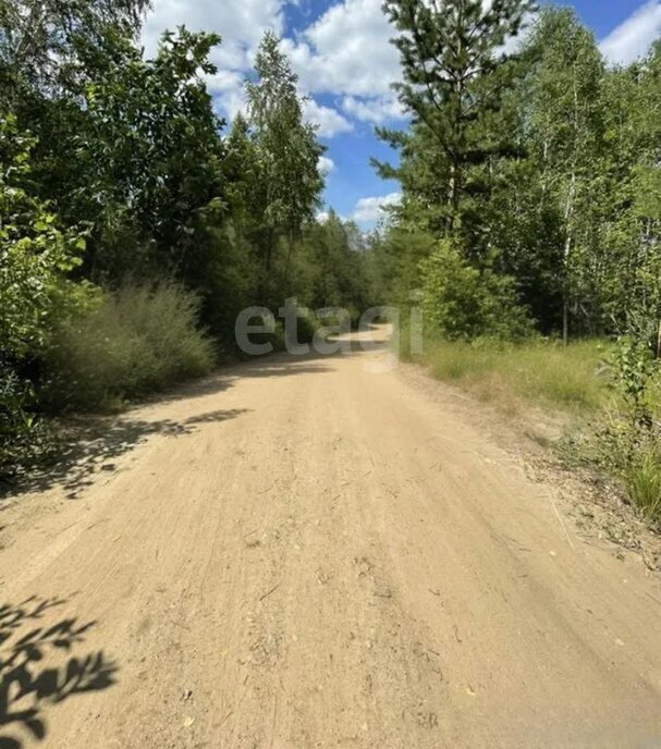 земля р-н Сосновский п Трубный Алишевское сельское поселение фото 1