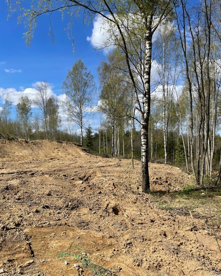 земля р-н Всеволожский д Мистолово Ленинградское шоссе, 9728 км, Бугровское сельское поселение, Санкт-Петербург фото 13