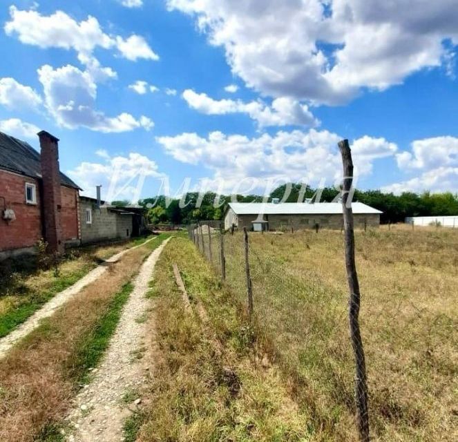 земля р-н Новокубанский село Ковалевское фото 1