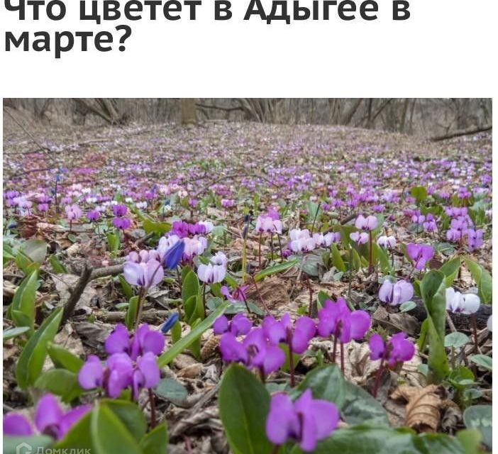 земля р-н Майкопский Республика Адыгея Адыгея, станица Даховская фото 4