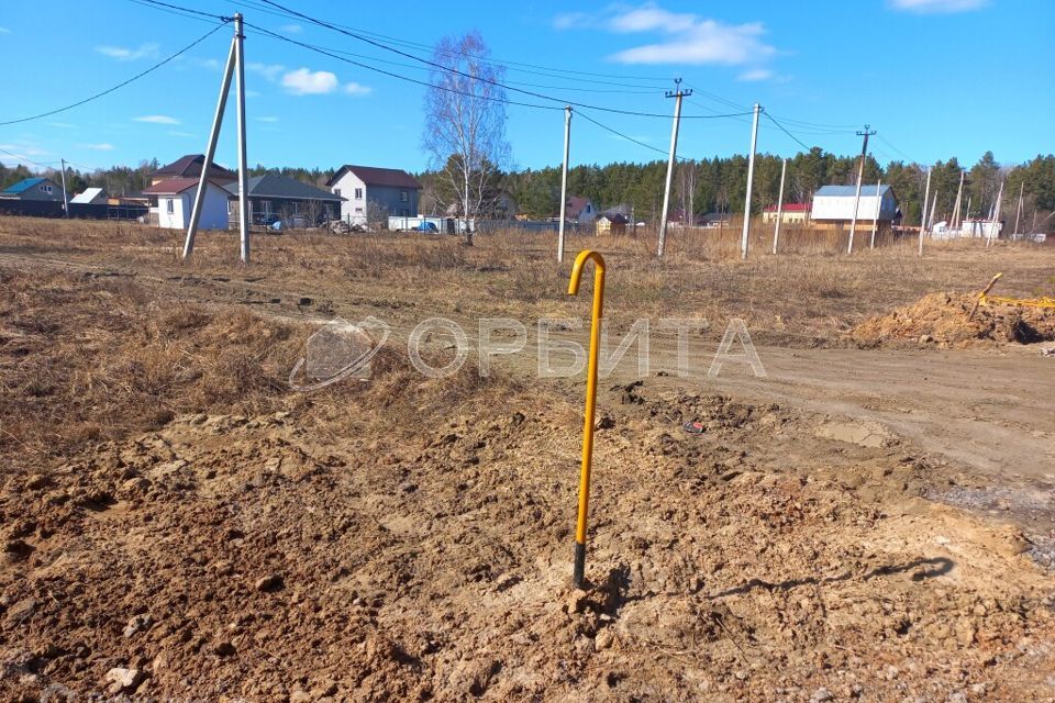 земля р-н Нижнетавдинский село Тюнево фото 3