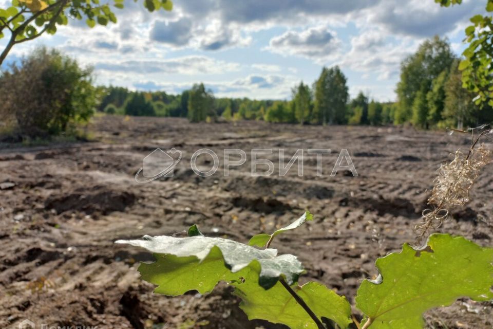 земля р-н Нижнетавдинский с Тюнево ул Придорожная фото 2