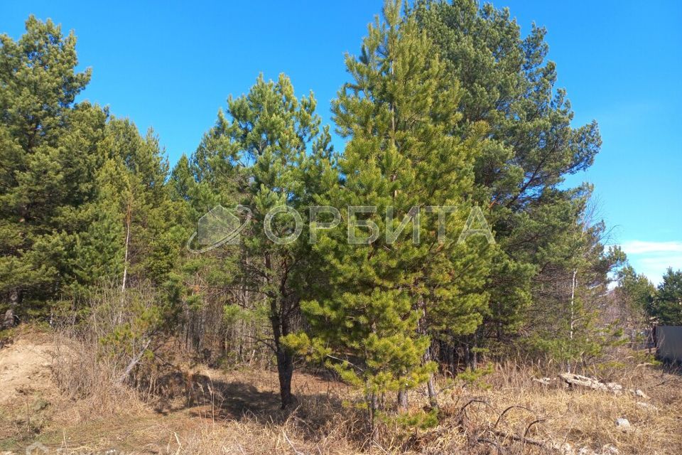 земля р-н Нижнетавдинский с Тюнево ул Светлая фото 2