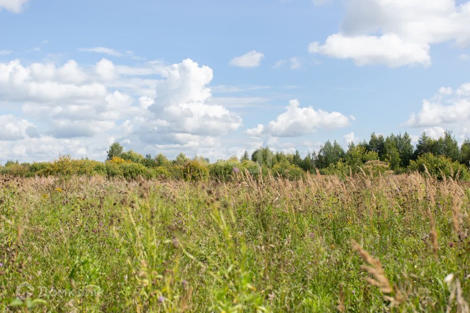 земля г Тобольск Иртышский микрорайон Иртышский, городской округ Тобольск фото 8