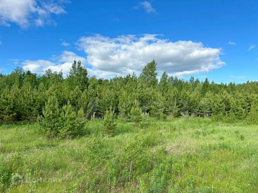 земля р-н Нижнетавдинский д Московка пр-кт Кольцевой фото 6