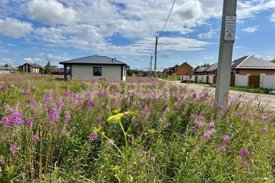 земля р-н Тюменский д Зубарева ул Центральная фото 10