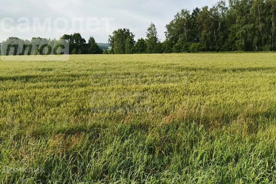 земля р-н Оренбургский ТСН Ивановское фото 2