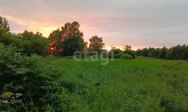 село Мицулёвка фото