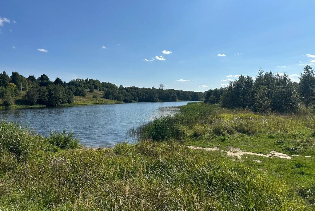 земля городской округ Клин д Щекино фото 17