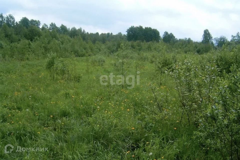 земля р-н Волжский п Власть Труда ул Школьная фото 4