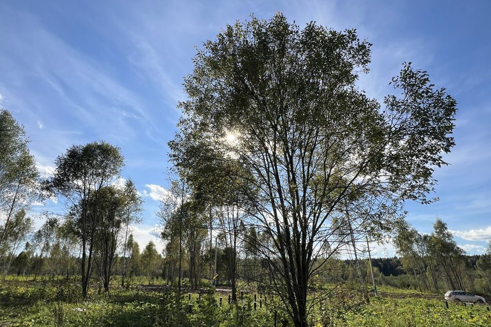 земля городской округ Клин Клин фото 2