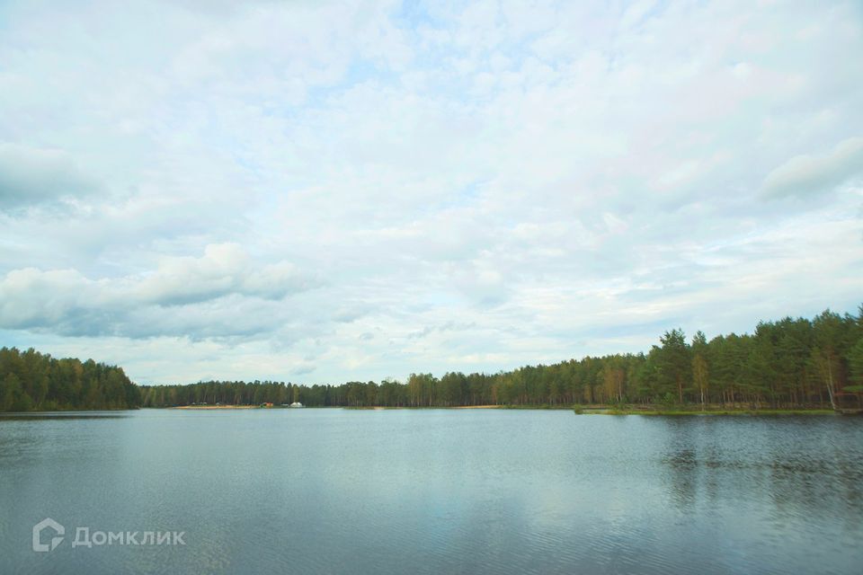 земля р-н Всеволожский Коркинский ручей фото 5