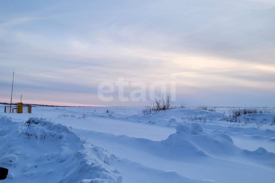 земля р-н Пензенский п Мичуринский ул Совхозная фото 2