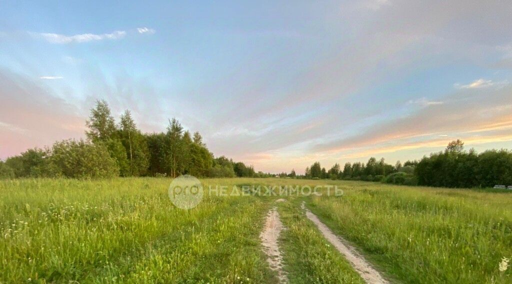 земля р-н Спасский с Федотьево ул Центральная Федотьевское с/пос фото 1