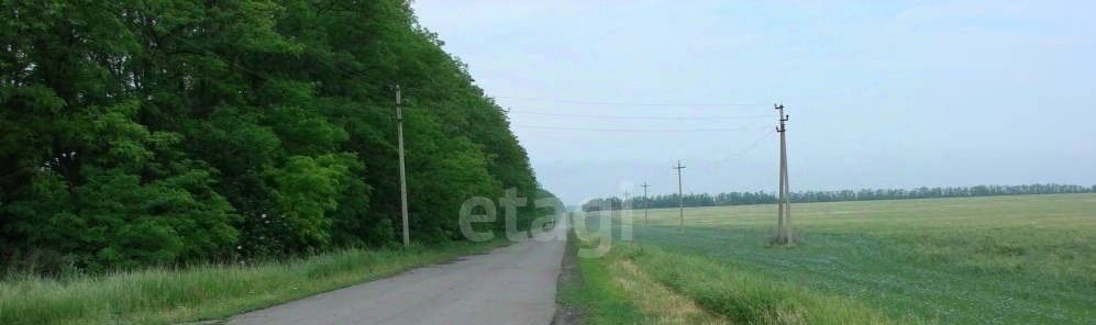 офис р-н Родионово-Несветайский х Греково-Балка ул Центральная 1 Болдыревское с/пос фото 5