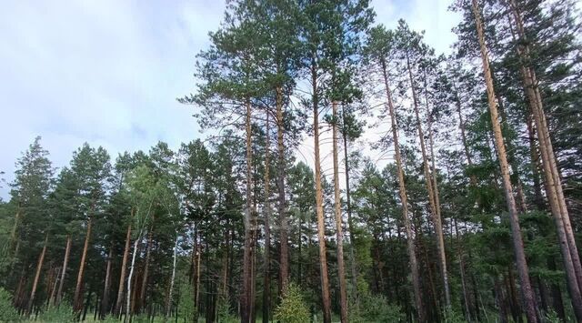 ул Молодежная Ушаковское муниципальное образование фото