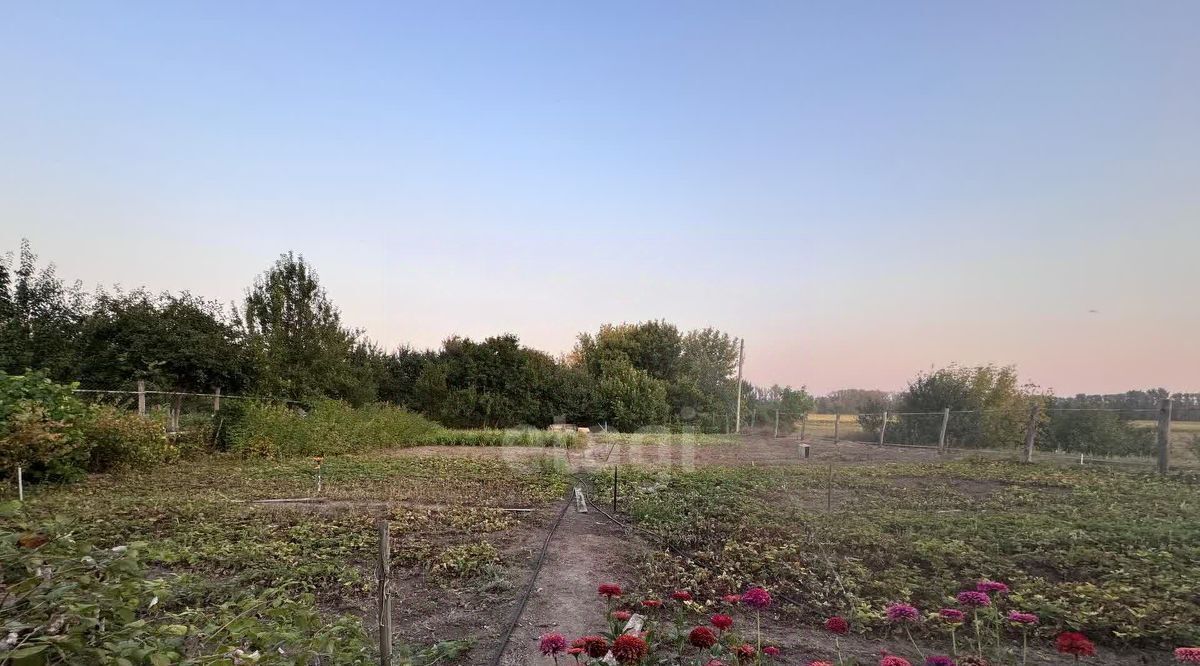 дом р-н Алексеевский с Колтуновка ул. Старый Хутор фото 18