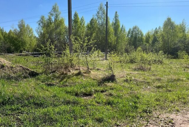 р-н Богородский фото