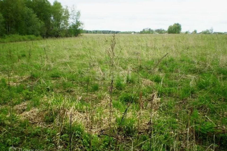 земля р-н Пензенский село Воскресеновка фото 4