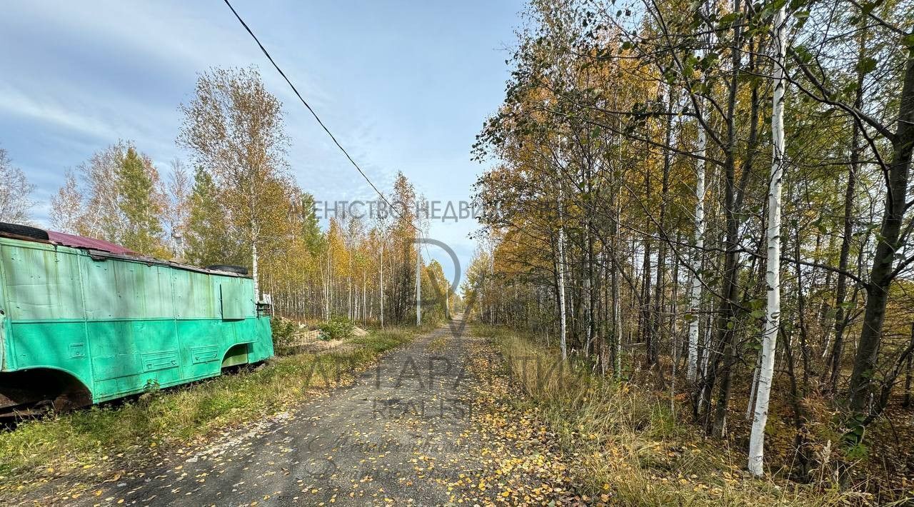 земля г Комсомольск-на-Амуре ул 4-я Еловая Садовые участки фото 4