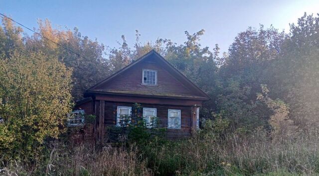 Городецкий муниципальный округ, д. Копенное фото