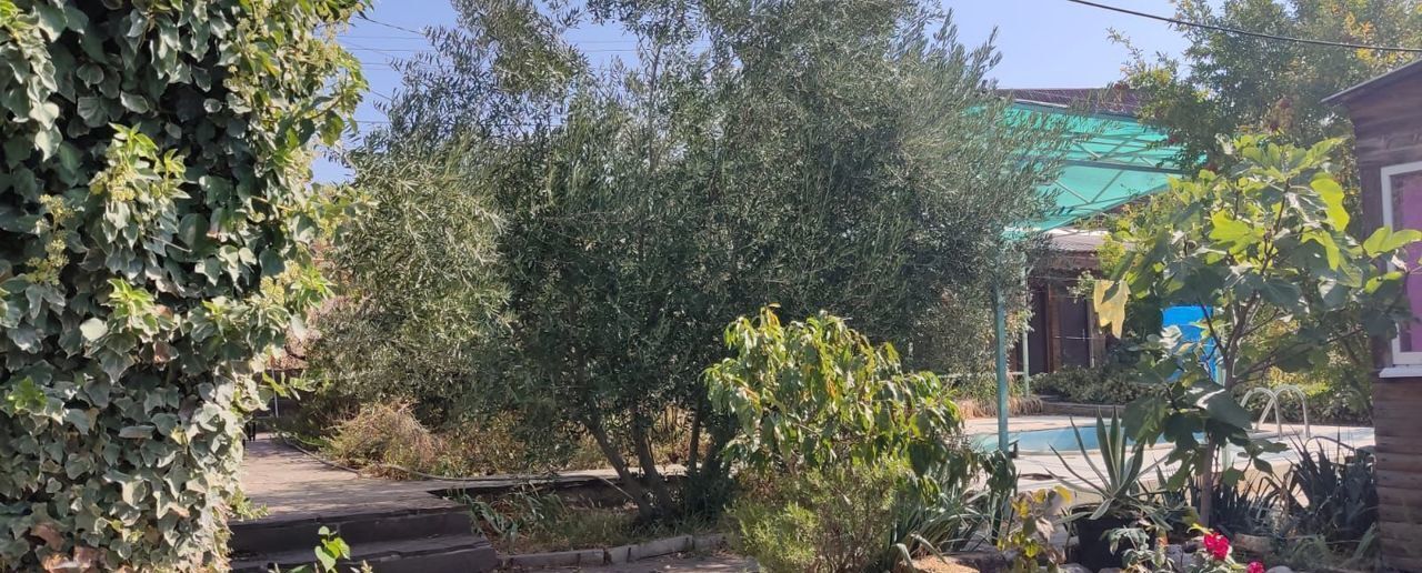 дом г Судак садовое товарищество Ветеран, Сосновая ул фото 5